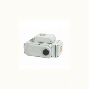 Compact electric actuator