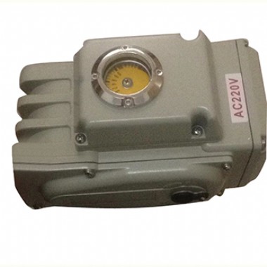 AC220V Miniature Electric Actuator